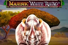 majestic white rhino
